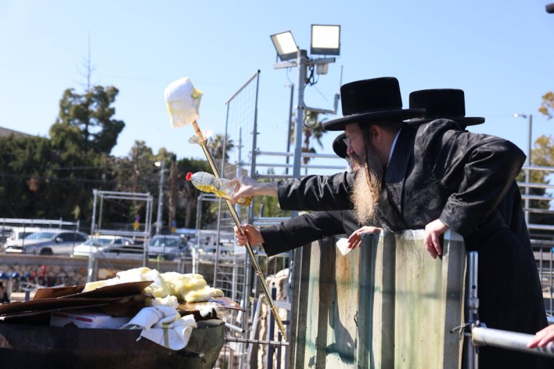 דוד כהן