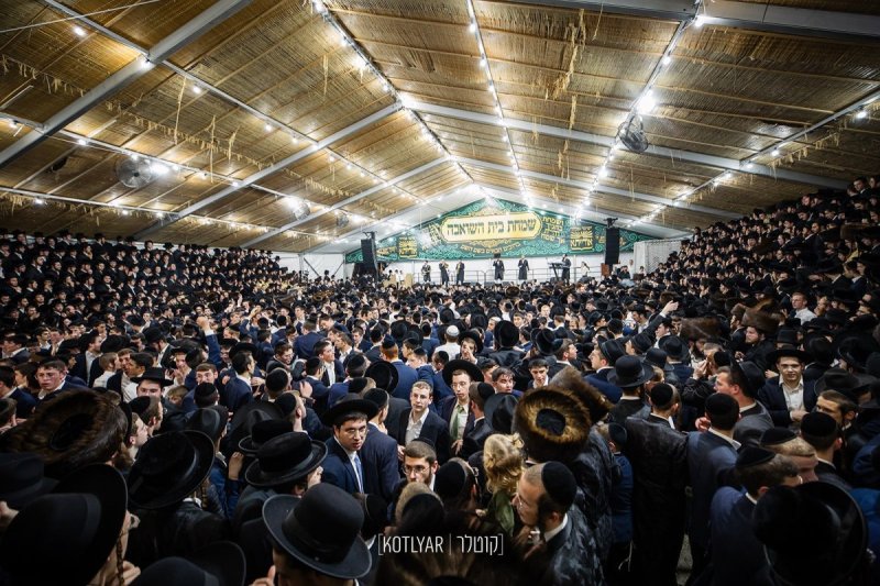 מענדי קוטלר