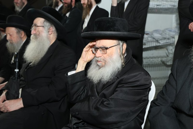 דוד ארזני