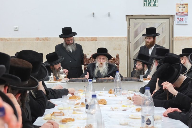 שימי פ.