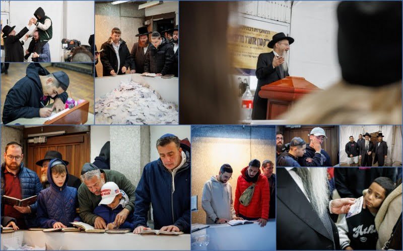 דניאל נפוסי