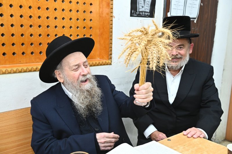 שוקי לרר