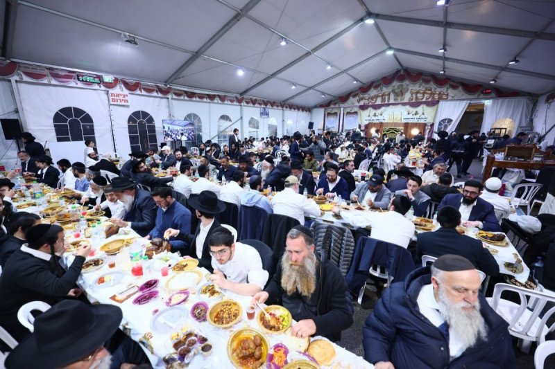 ים לביא
