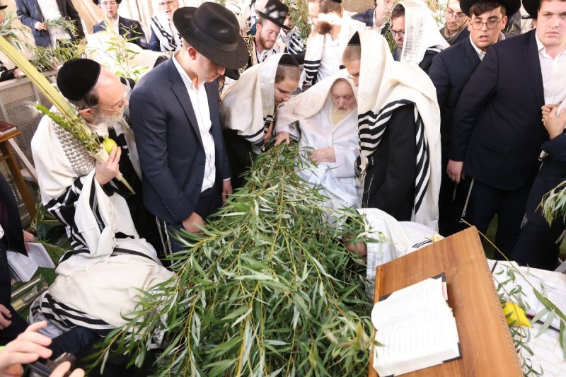 שוקי לרר ושמואל דריי