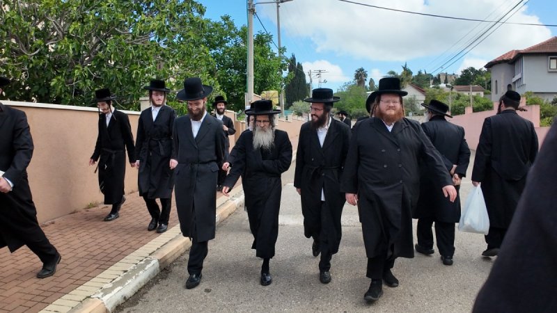 דוד כהן