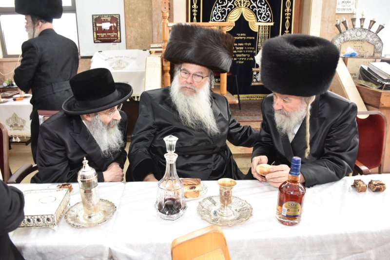 יהודה פרקוביץ