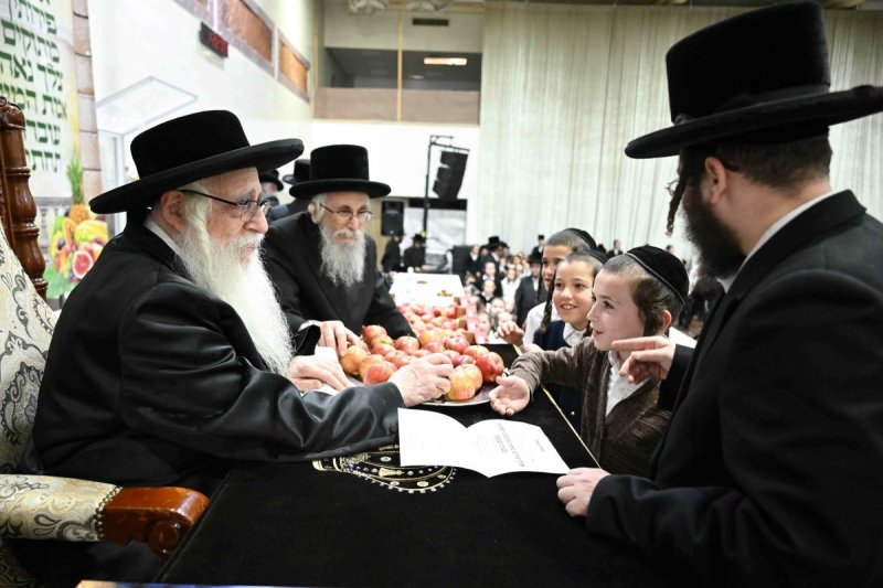 משה גולדשטיין