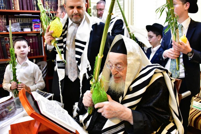 שוקי לרר