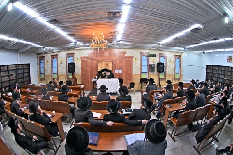 יהושע פרוכטר