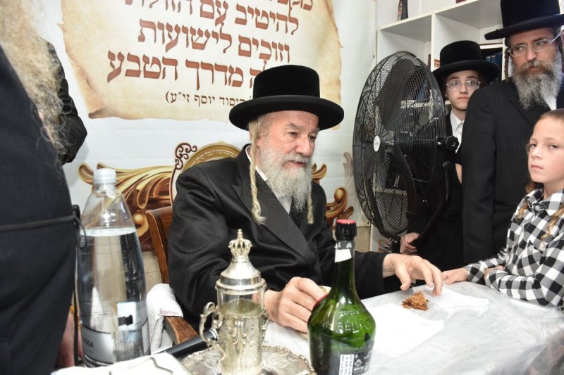 יהודה פרקוביץ