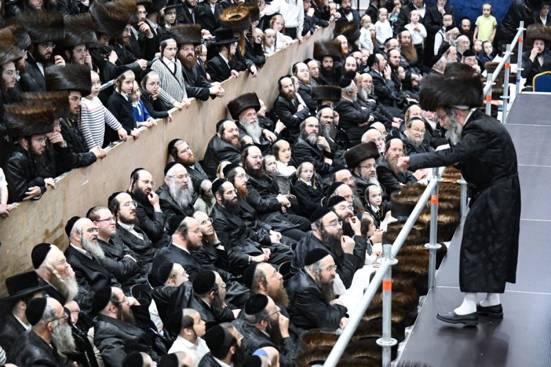 משה גולדשטיין