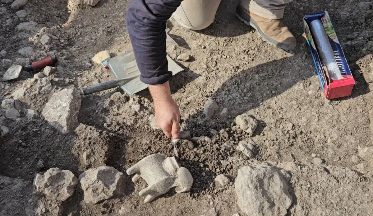 רשות העתיקות