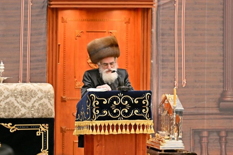 יהושע פרוכטר