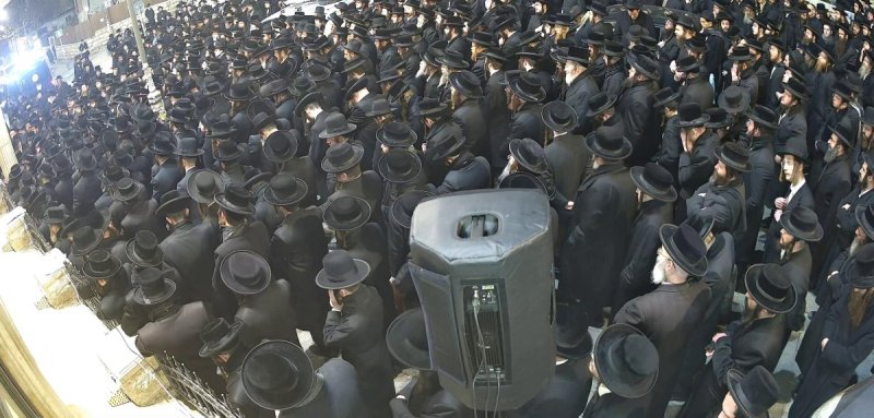 באדיבות המצלם