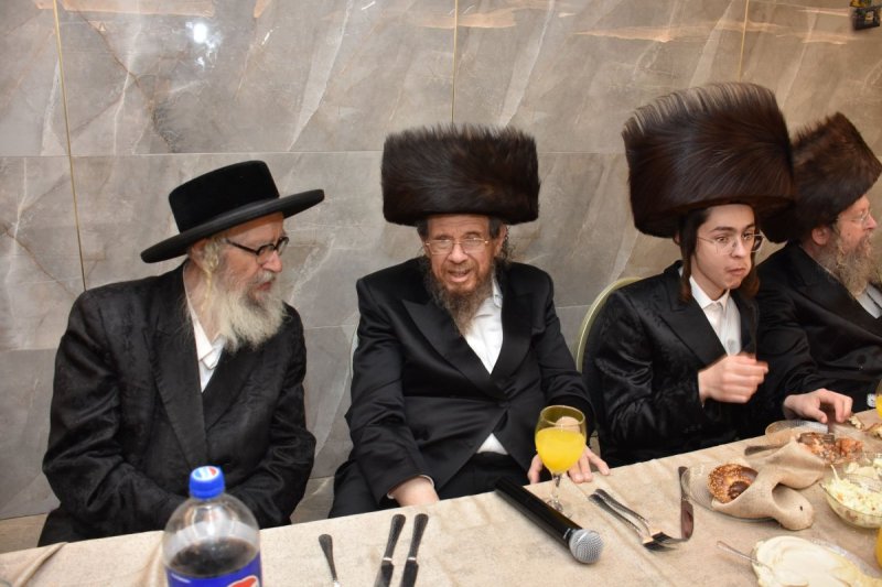 יהודה פרקוביץ