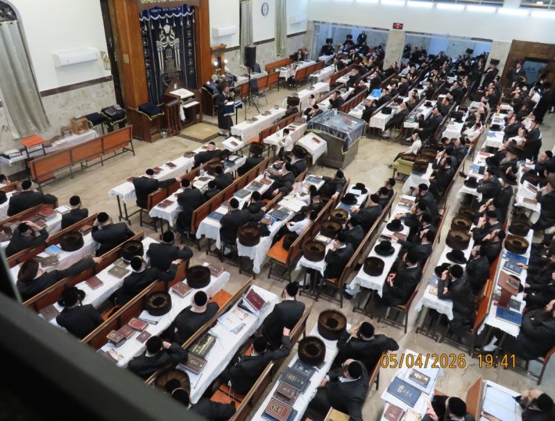 באדיבות המצלם