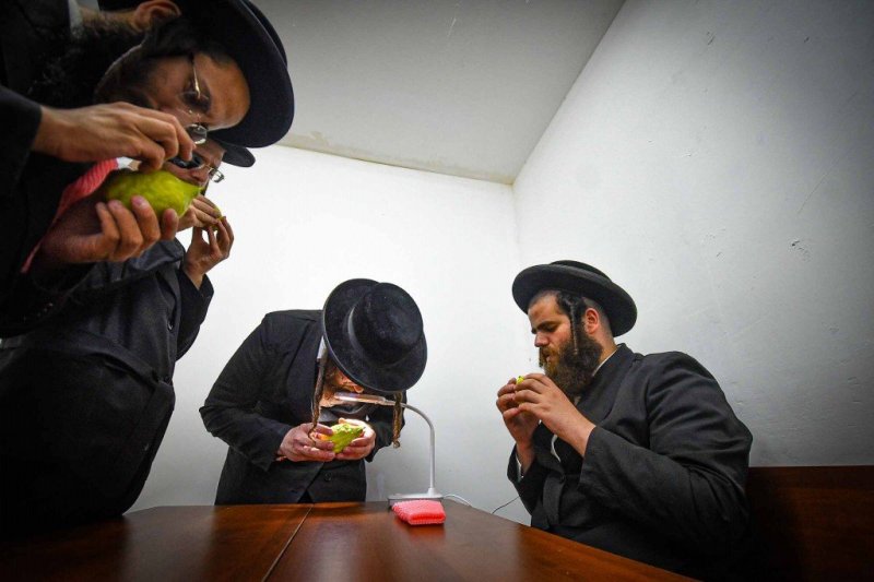 ארי קופרשטוק