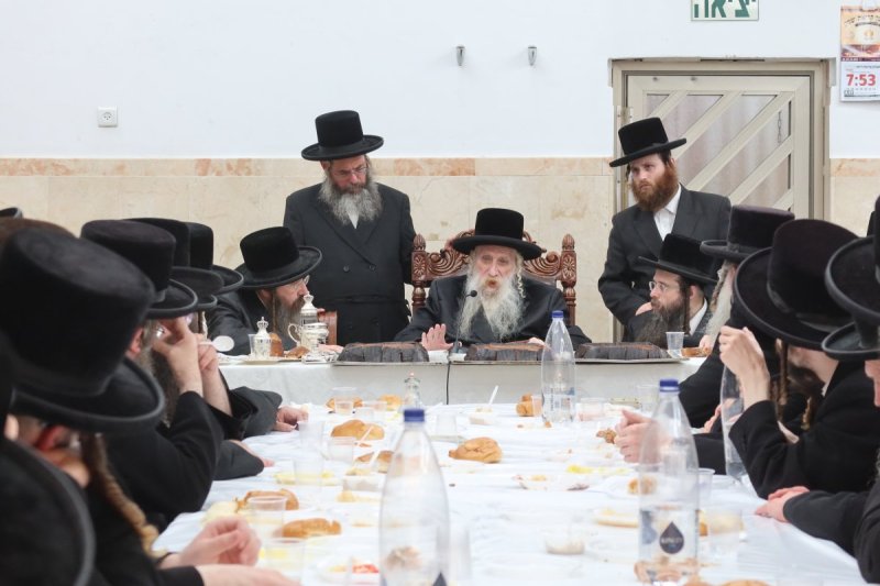 שימי פ.