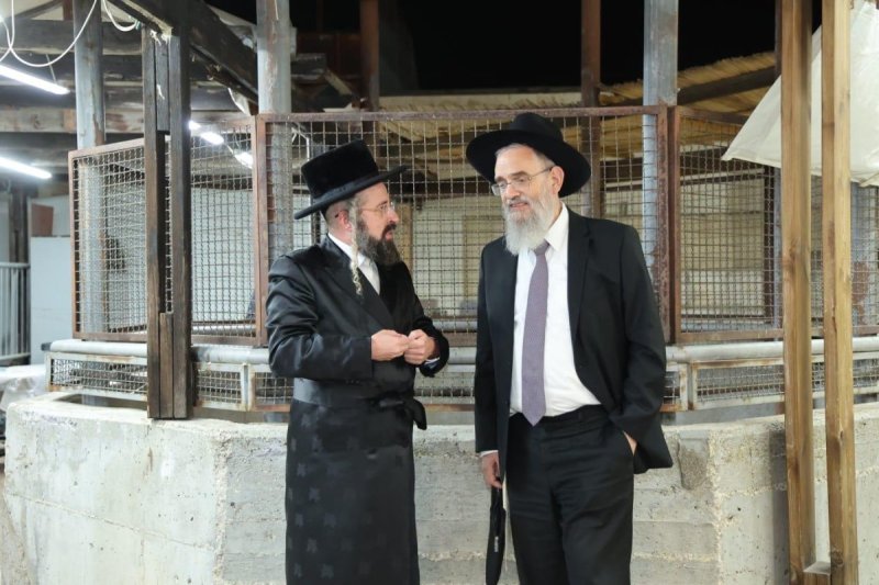 שלומי טריכטר