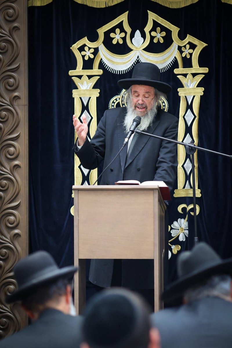 דניאל נפוסי ומאיר זלזניק