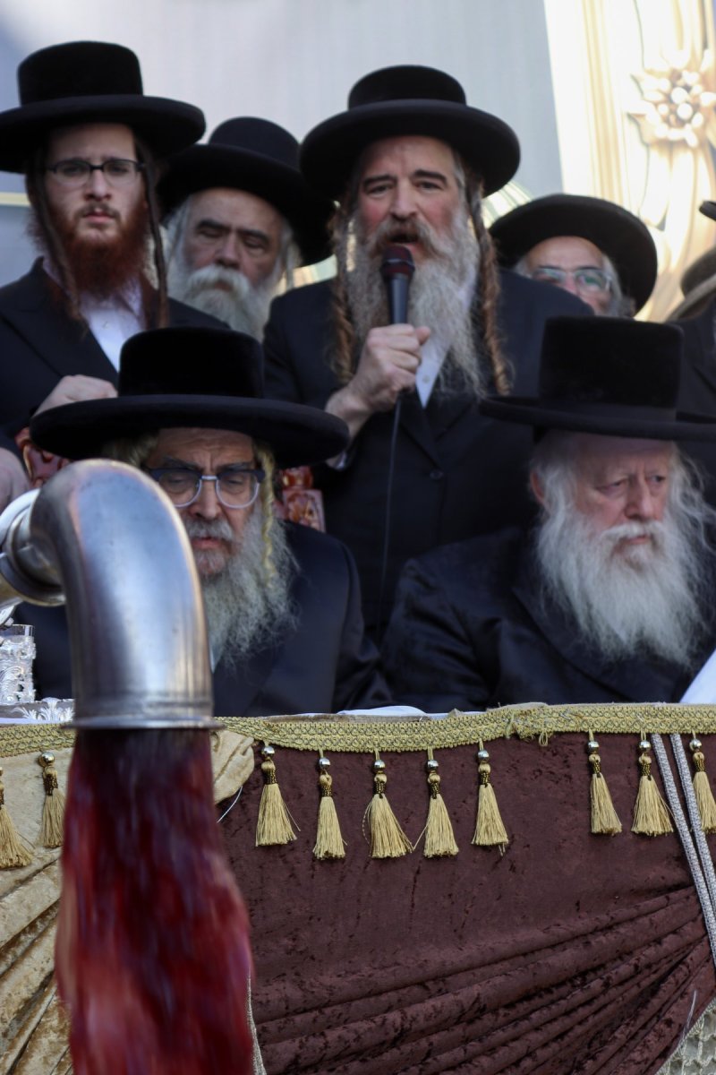 באדיבות המצלם