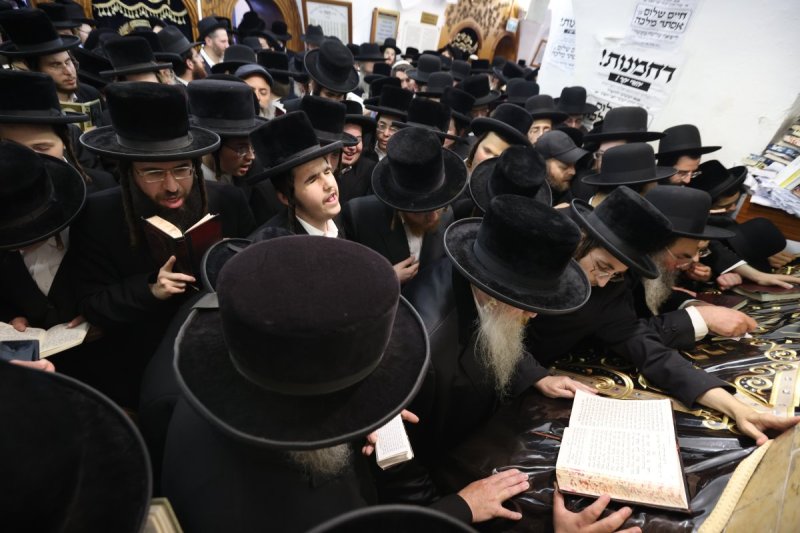 דוד כהן