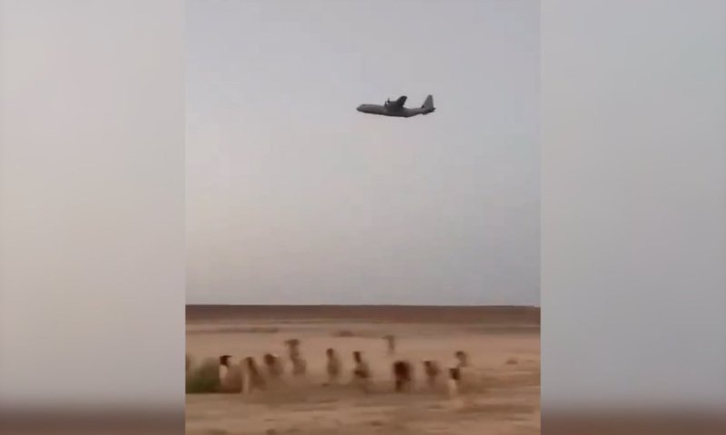 משמעות חדשה לתיעוד ישן: סרטון רועה הצאן הסורי שמסעיר את הרשת