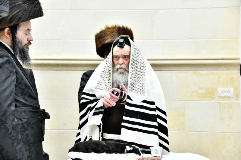 שוקי לרר