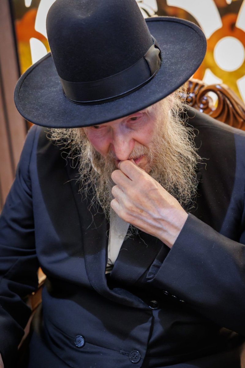 דניאל נפוסי ומאיר זלזניק