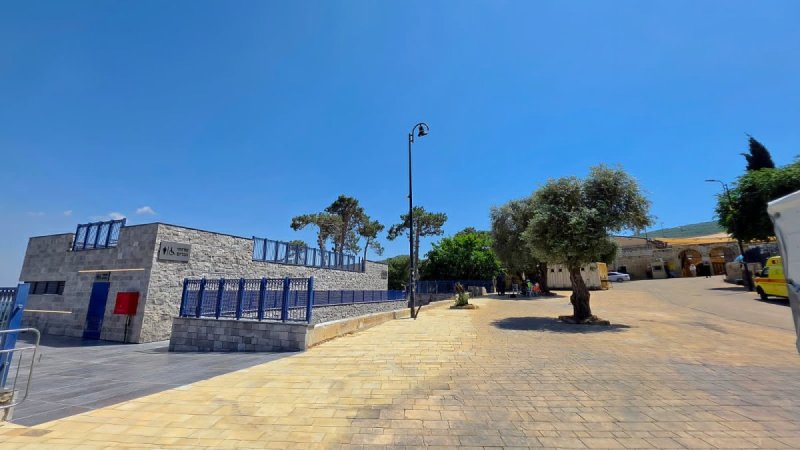 דוד כהן
