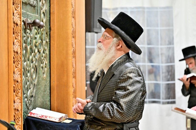 יהושע פרוכטר