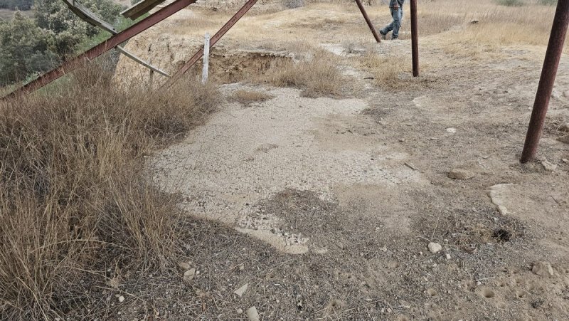 אלה טל חיוט רשות הטבע והגנים