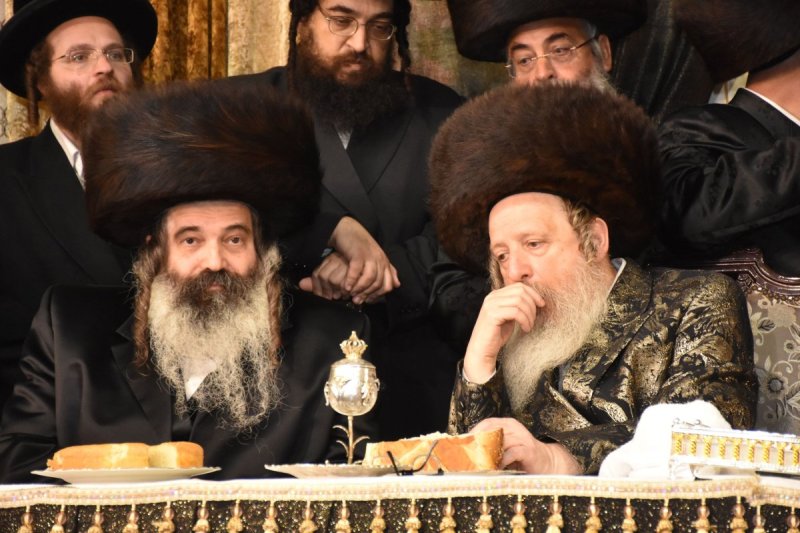 יהודה פרקוביץ