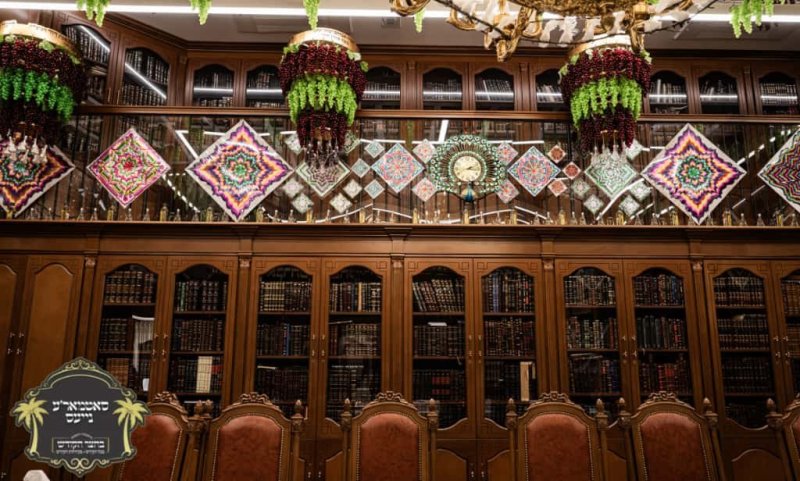 באדיבות המצלם