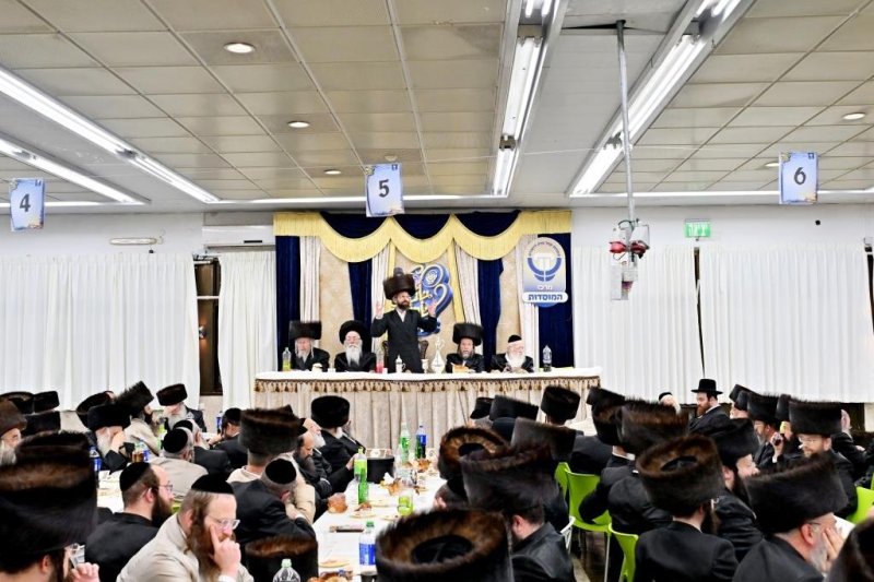 יהושע פרוכטר