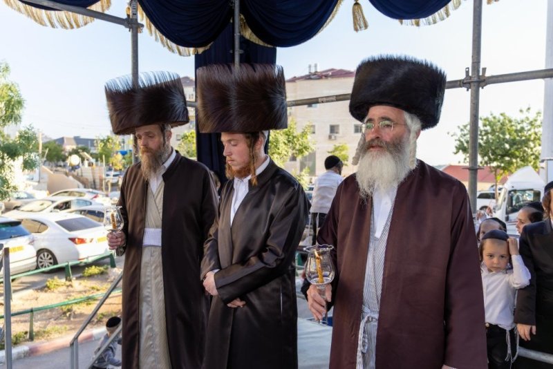 א.פ.ק