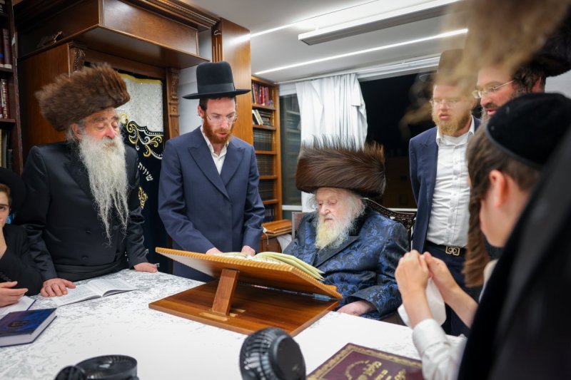 דניאל נפוסי