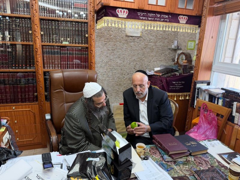 באדיבות המצלם