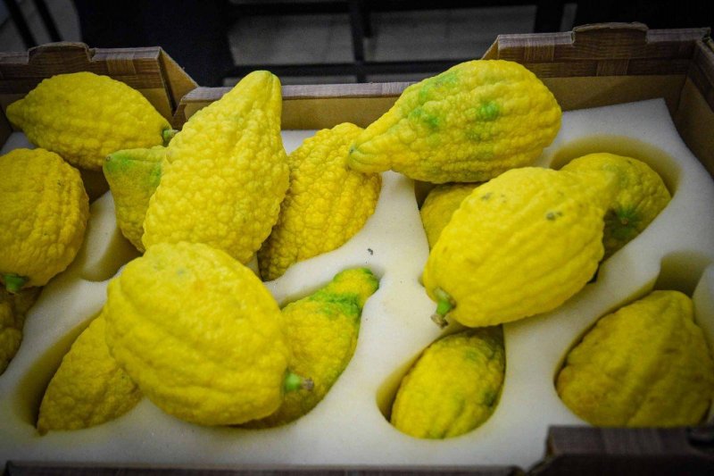 ארי קופרשטוק