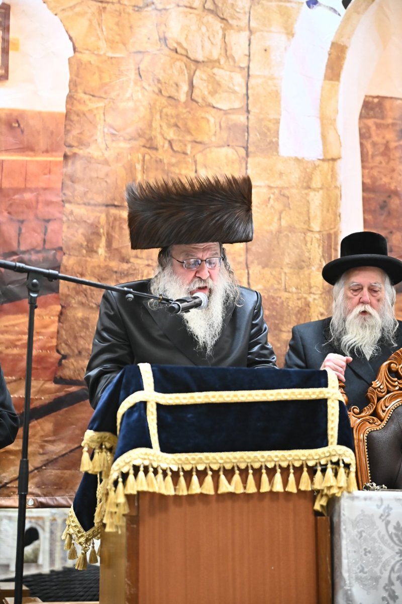 שוקי לרר