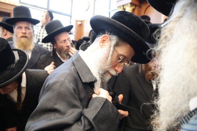 שלומי טריכטר