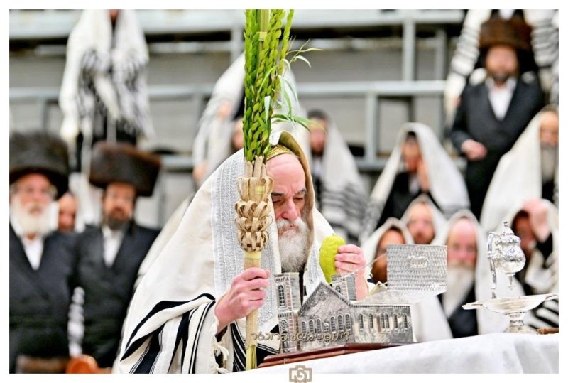 יהושע פרוכטר