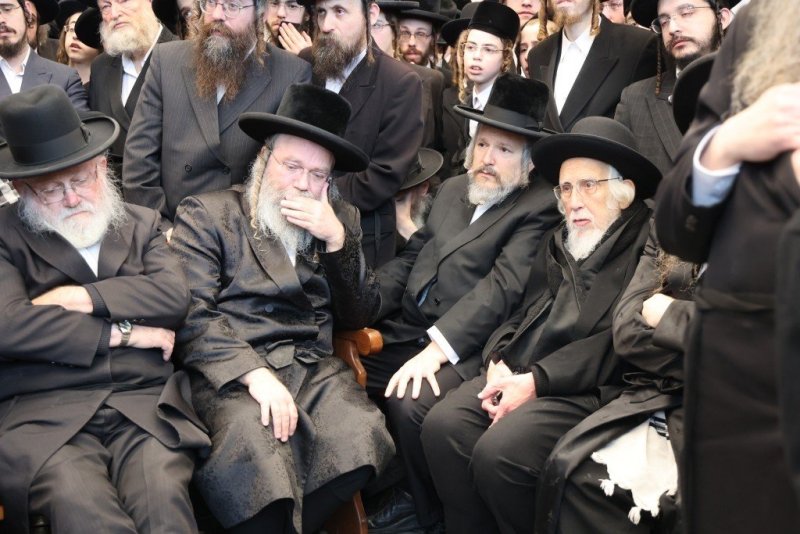 שלומי טריכטר