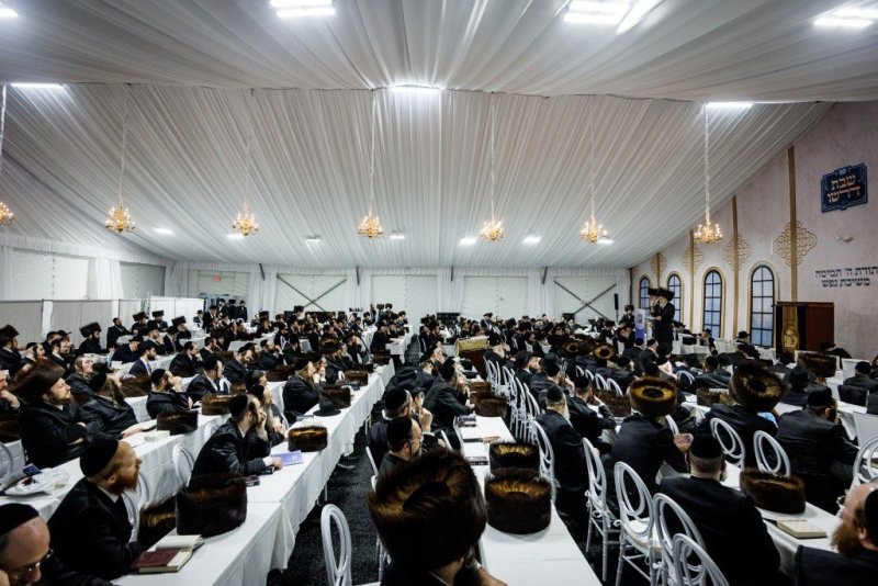 יוסי גולדברגר