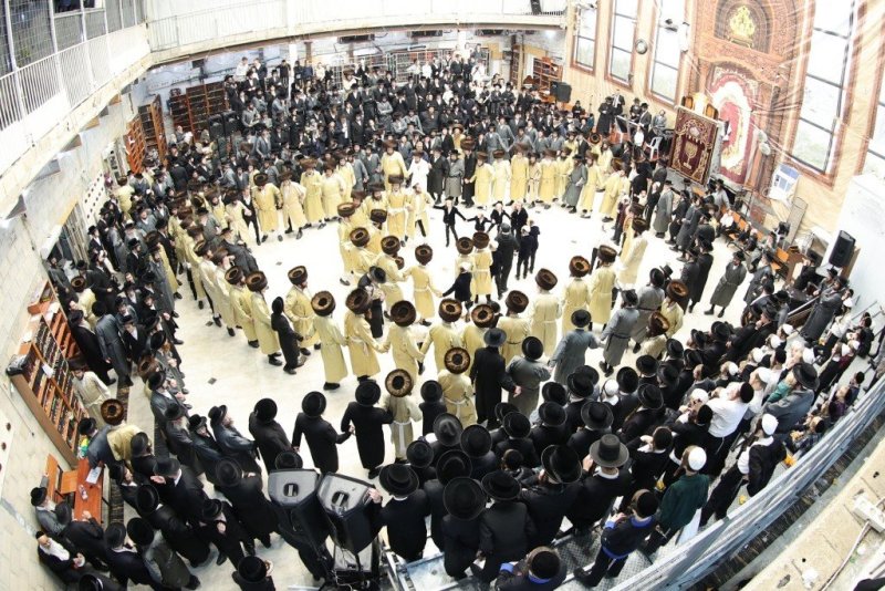 שלומי טריכטר