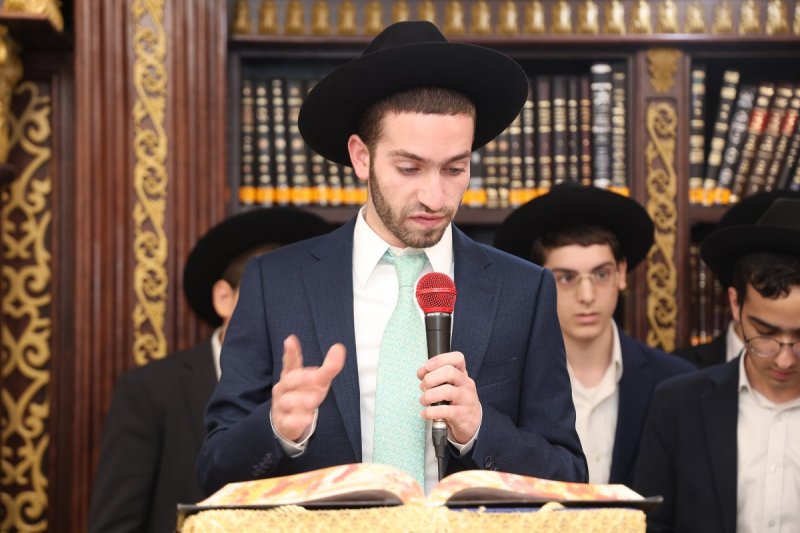 נועם אליהו