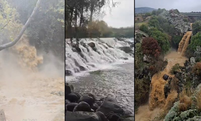 המים שוצפים &ndash; אך הנתונים מאכזבים: תיעודים מרהיבים מהנחלים בצפון