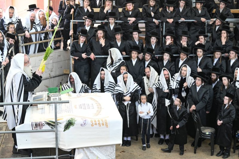 משה גולדשטיין