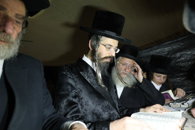 דוד ארזני