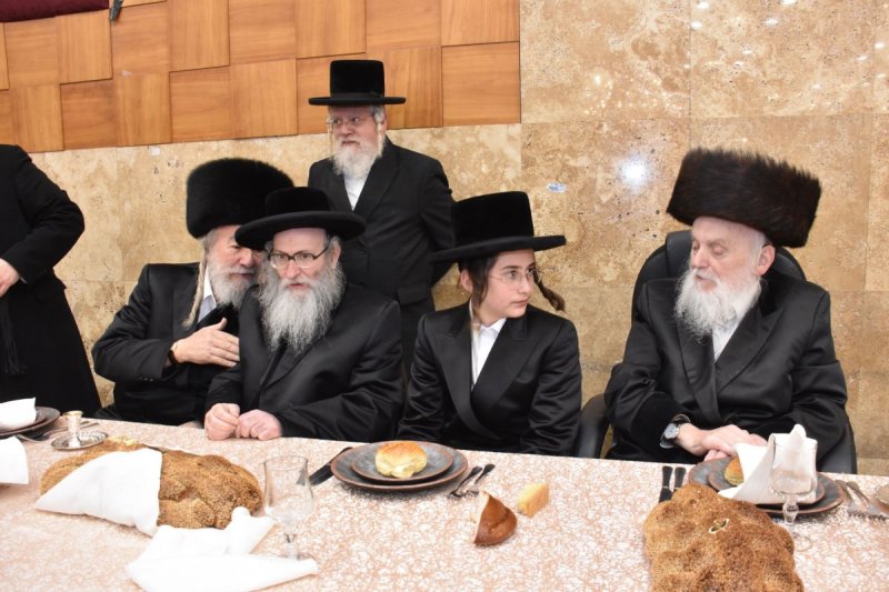 יהודה פרקוביץ